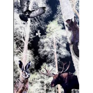 Notes Narcissus Gee B5/80/120g gładki Night in The Forest